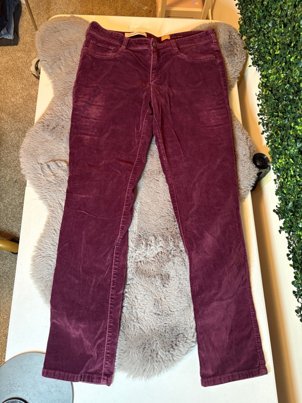 Pilcro Wine-Colored Skinny Corduroy Pants - Picture 5 of 6